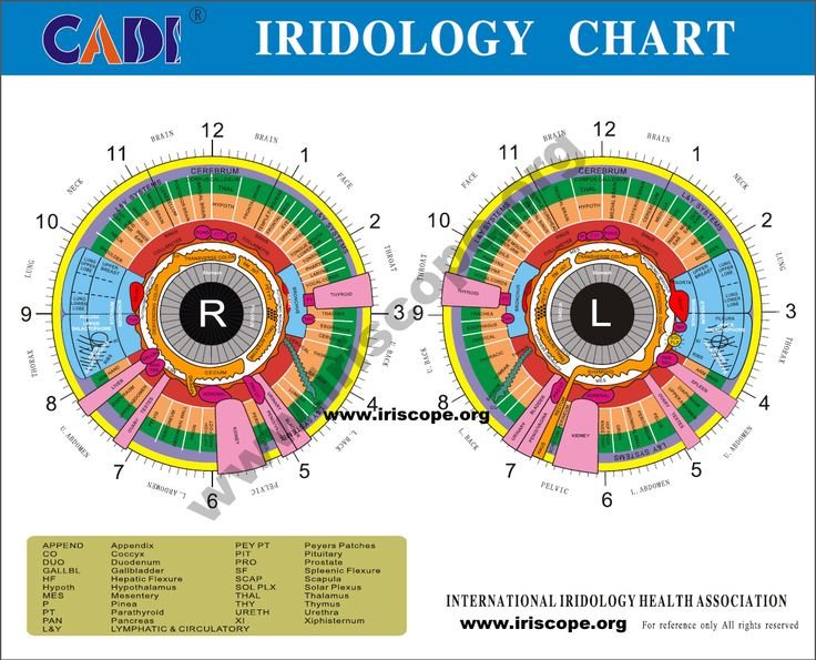Iridology Camera for Sale (1)