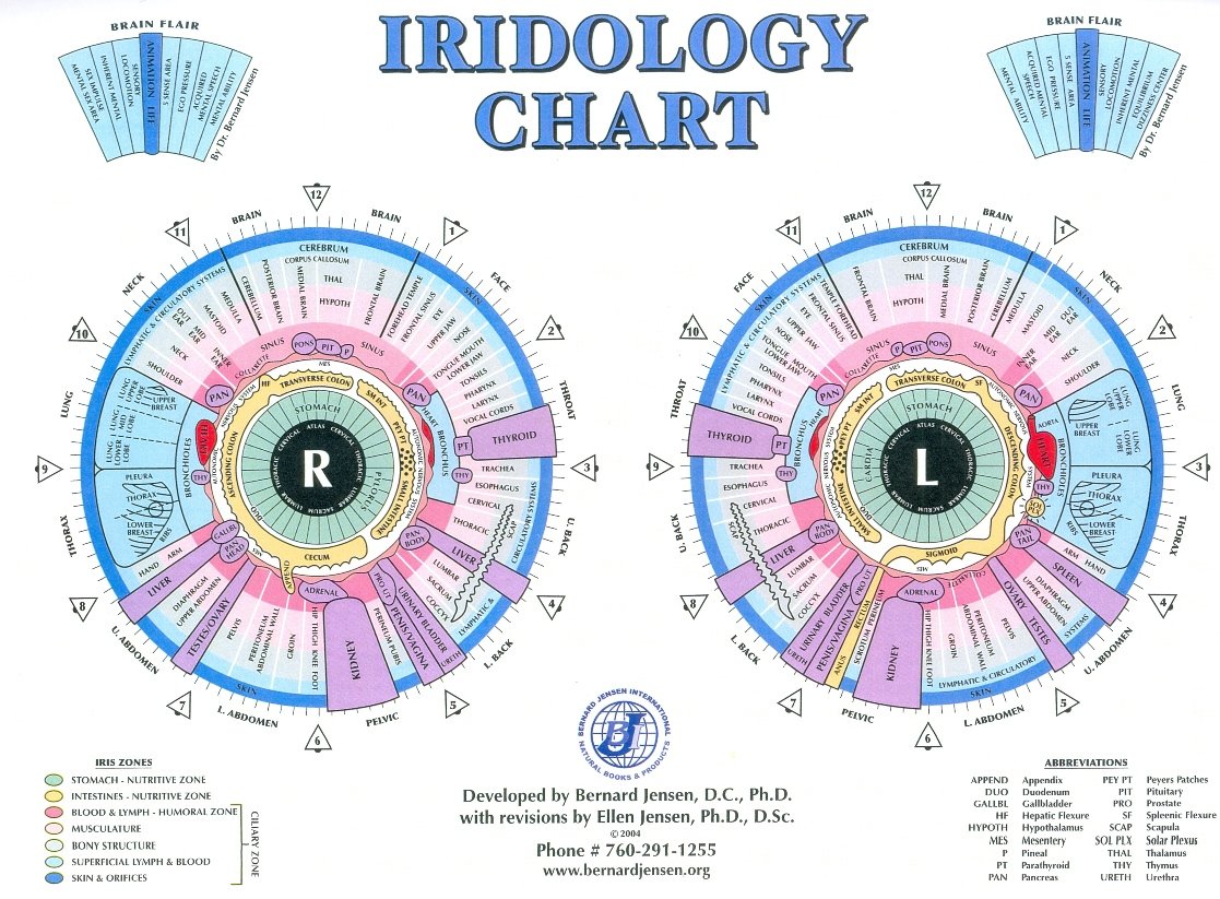 Iridology Camera for Sale (1)